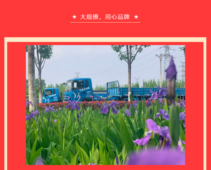 【濟寧大運河駕?！恐戮磩趧诱撸≤噧r學(xué)大車，報名就現(xiàn)在！ (圖3)